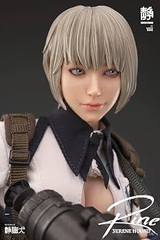 SERENE HOUND Tache 501S612-S 1/6 送料込み Amazon | i8TOYS SERENE HOUND [セレネハウンド] シリーズ